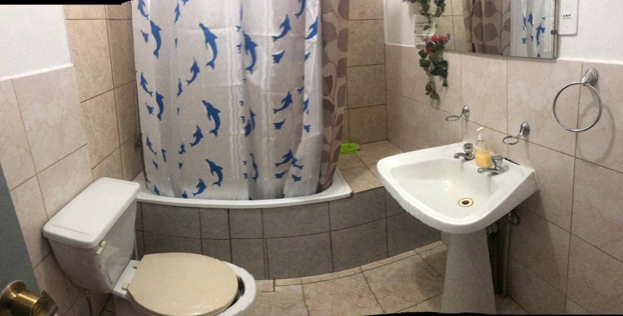 Hostal Torres Del Paine Punta Arenas Dış mekan fotoğraf