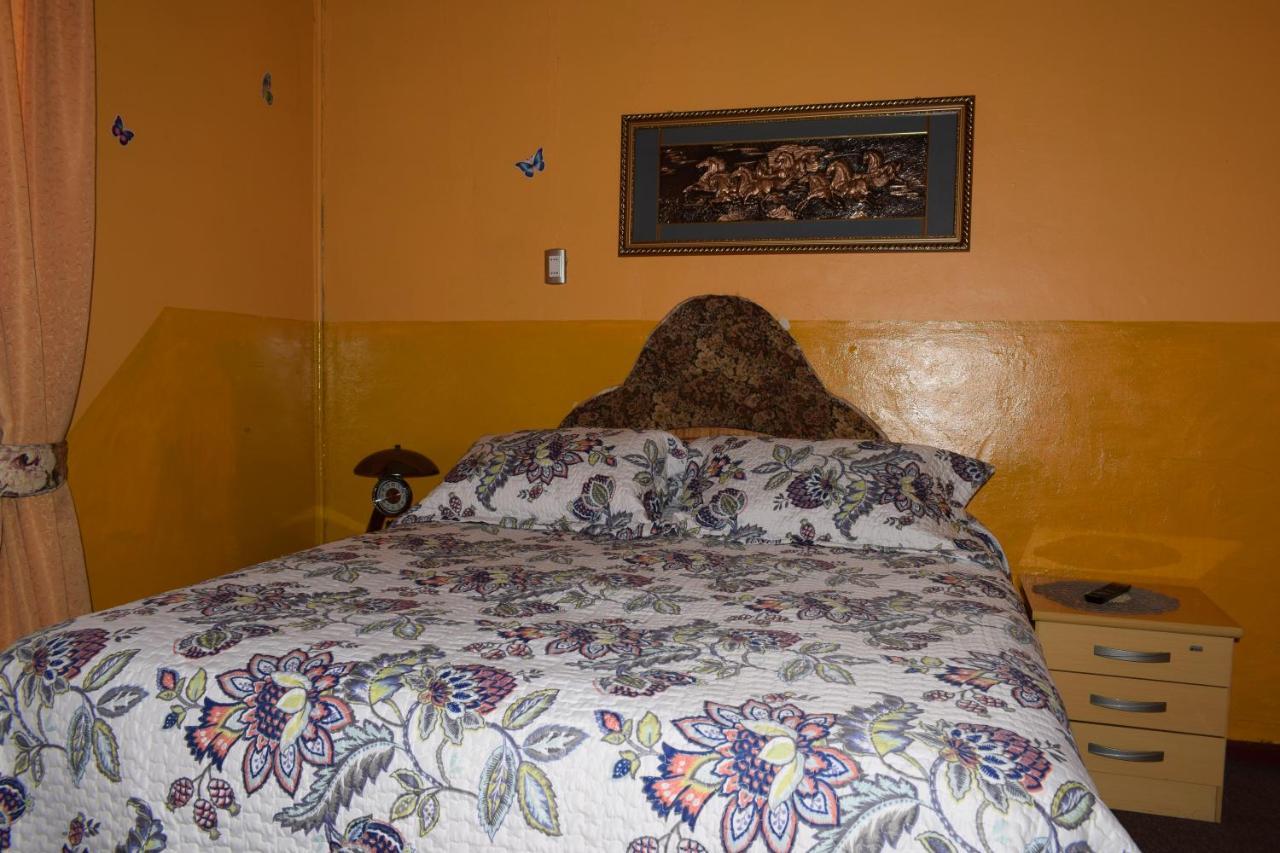 Hostal Torres Del Paine Punta Arenas Dış mekan fotoğraf